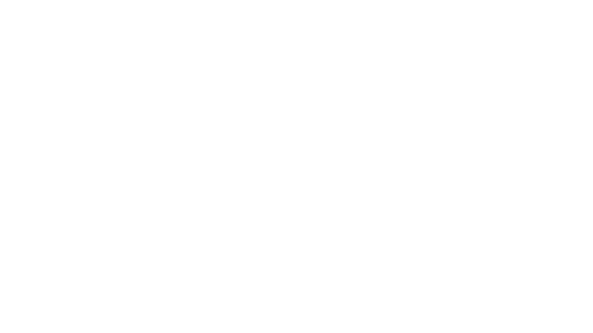 White VanData Logo